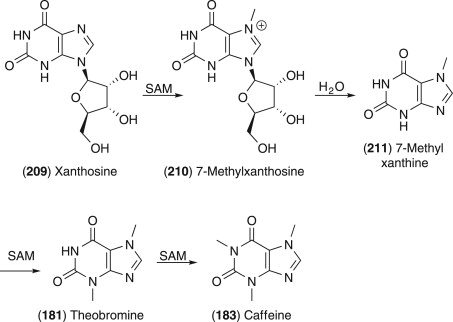 Is Theobromine a Stimulant?