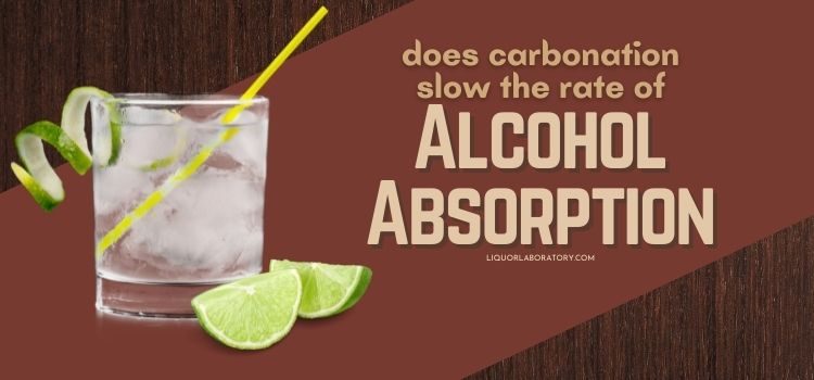 does-carbonation-slow-the-rate-of-alcohol-absorption