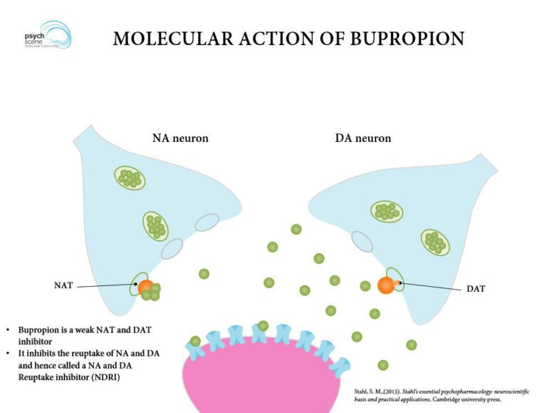 Is Bupropion a Stimulant?