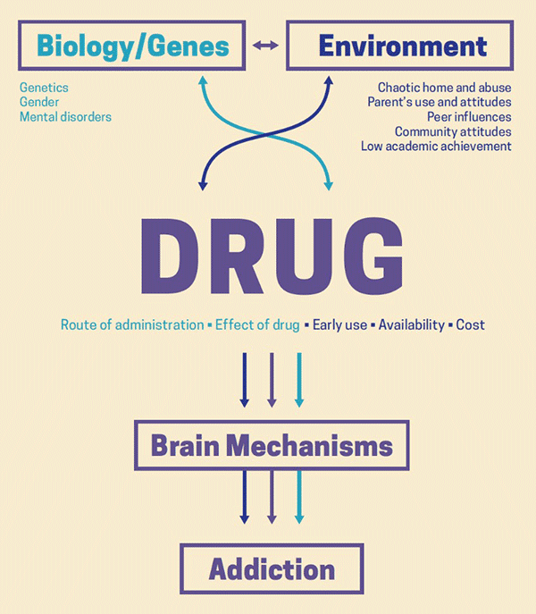 Can Drug Addiction Be Genetic?