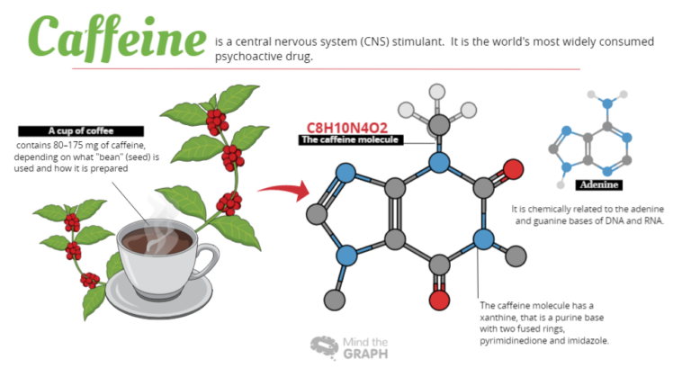 Is Caffeine a Central Nervous System Stimulant?