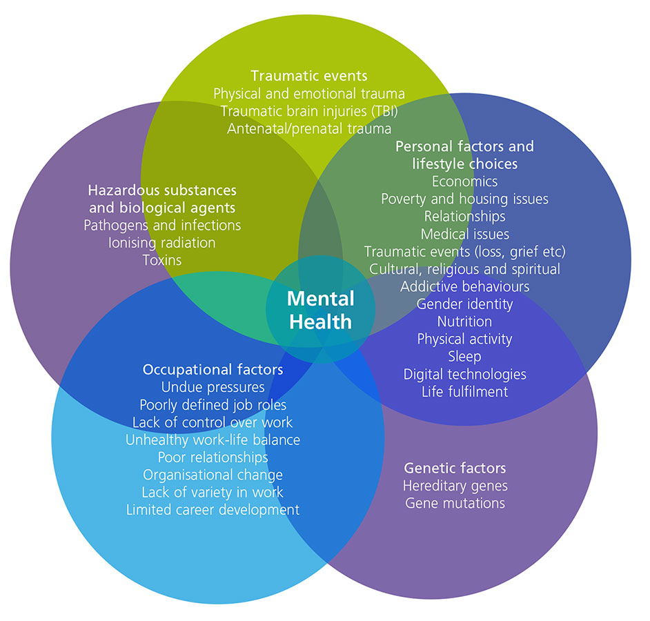 What Are The Causes Of Mental Health 