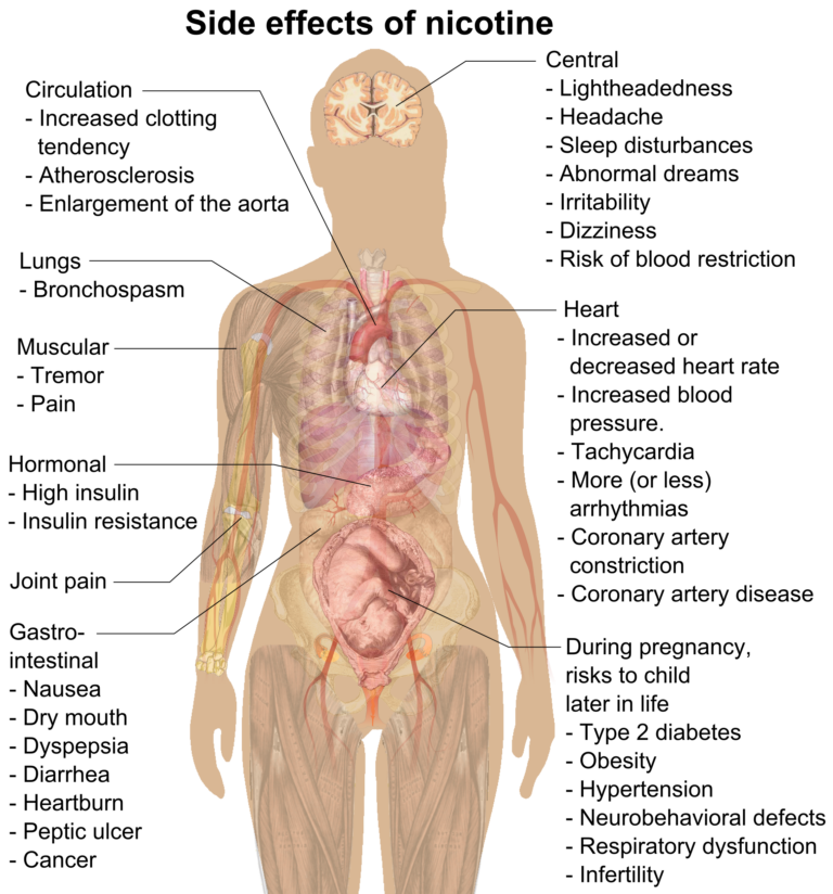 What Effects Does Nicotine Have on the Body?