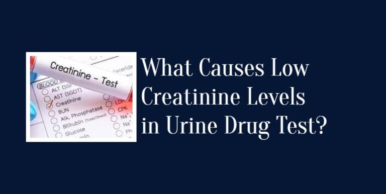 What Causes Low Creatinine Levels in Urine Drug Test?