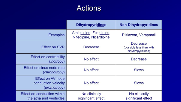 What Drugs Are Calcium Channel Blockers?