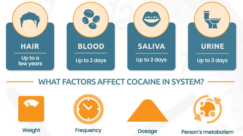 What Does Cocaine Show Up as on a Drug Test?